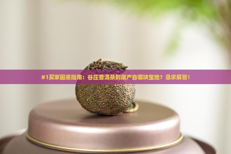谷庄普洱茶属哪个地区