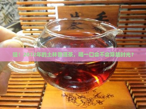 土林普洱茶2012
