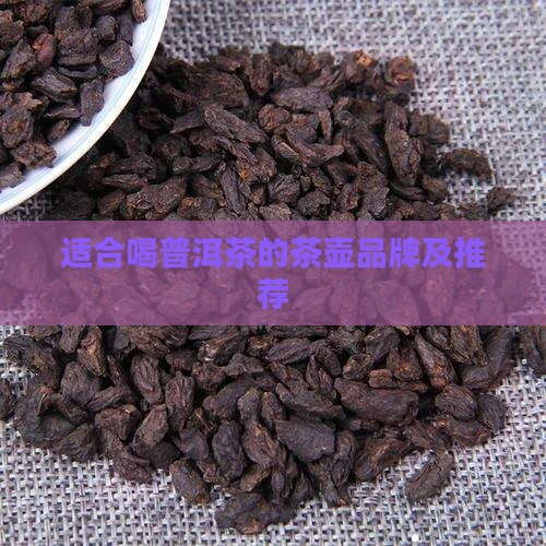 适合喝普洱茶的茶壶