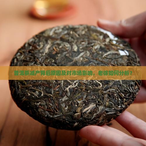 老徐谈普洱茶减产