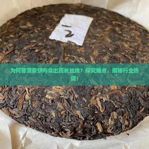 普洱茶饼内有长丝线