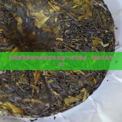 普洱茶饼内有长丝线