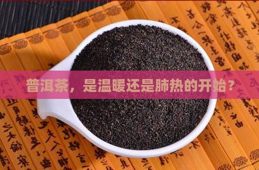 普洱茶使人肺热