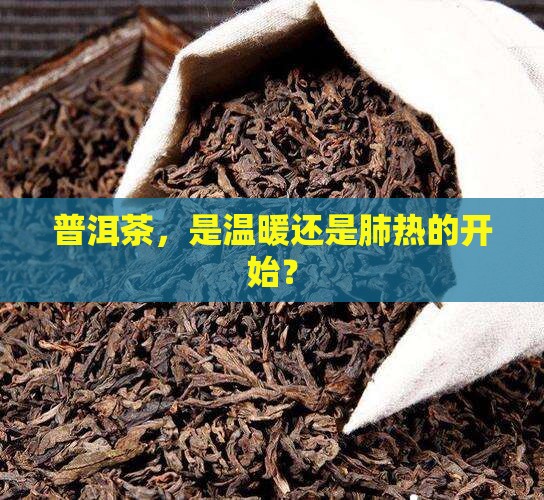 普洱茶使人肺热