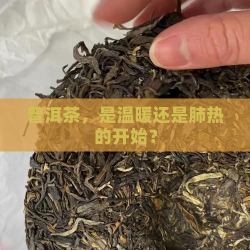 普洱茶使人肺热