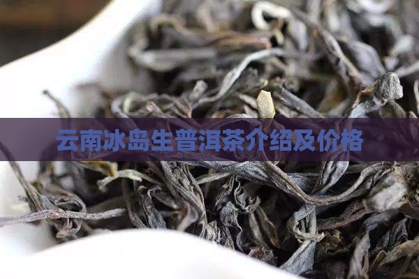 云南冰岛生普洱茶介绍
