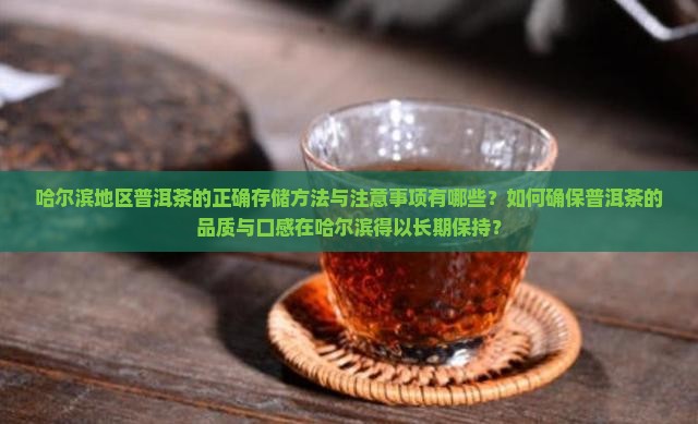 哈尔滨普洱茶存储