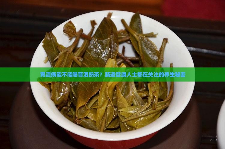 胃溃疡能不能喝普洱熟茶