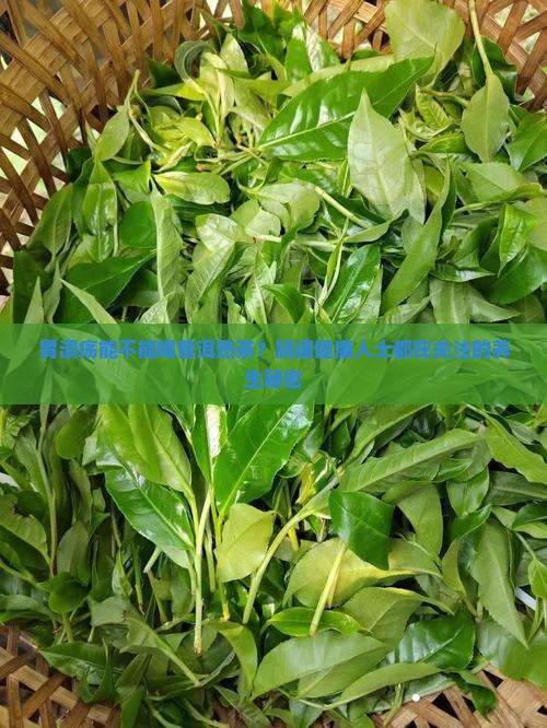 胃溃疡能不能喝普洱熟茶
