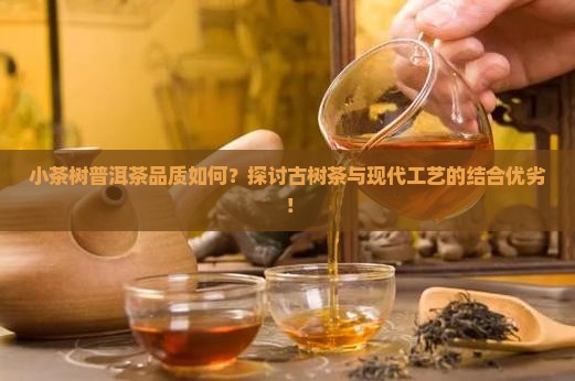 小茶树普洱茶好吗