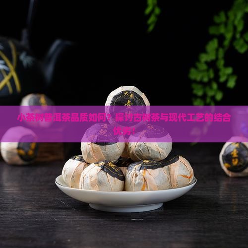 小茶树普洱茶好吗