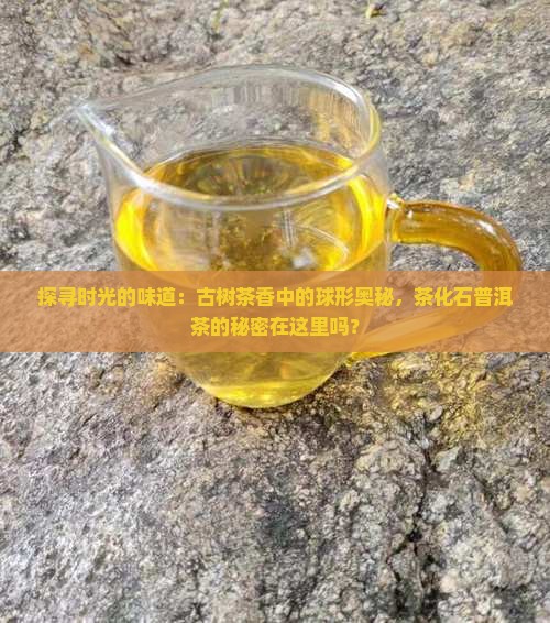 茶化石圆球普洱茶