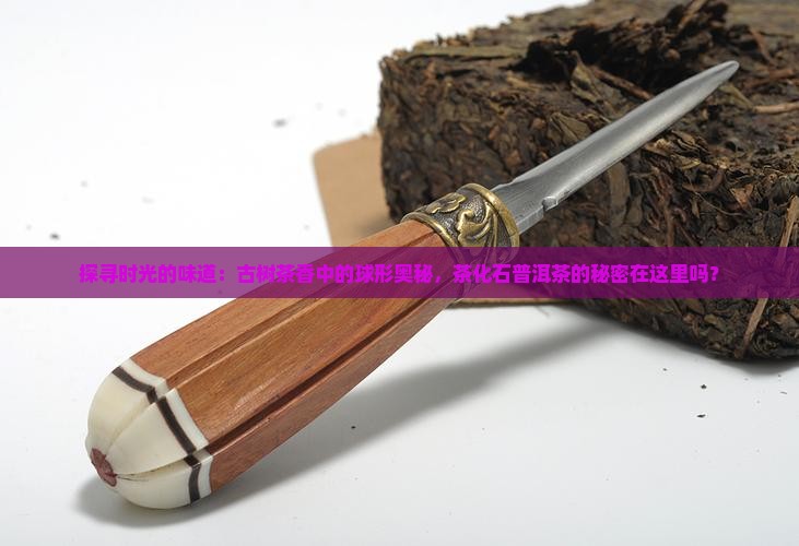 茶化石圆球普洱茶