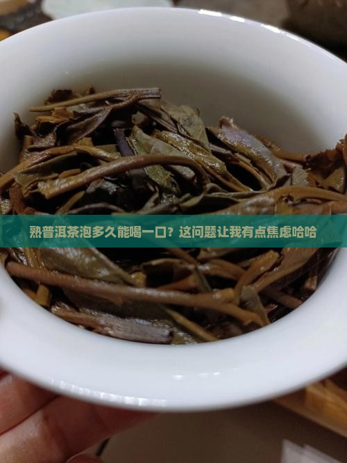 熟普洱茶泡多久能喝了一口