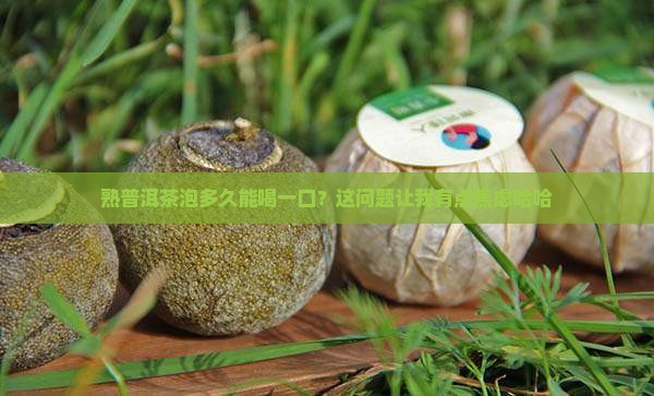熟普洱茶泡多久能喝了一口