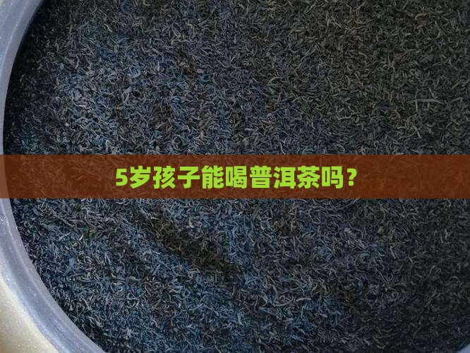 5岁孩子普洱茶