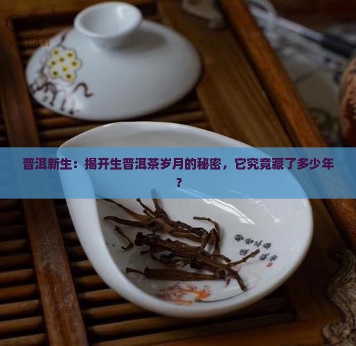 生普洱茶的年限