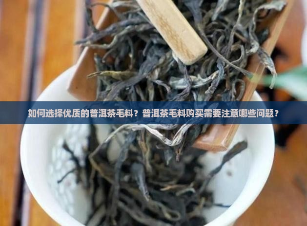 普洱茶毛料购买购