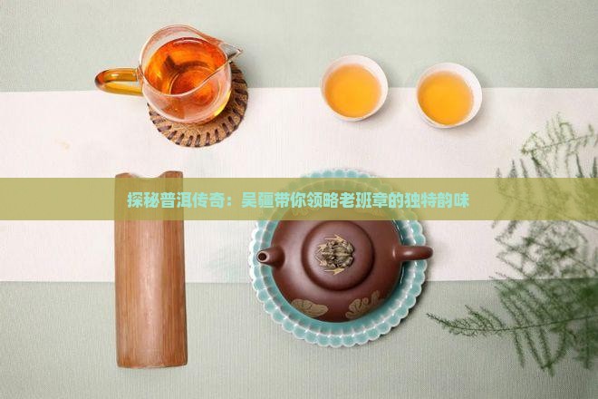 吴疆讲普洱老班章