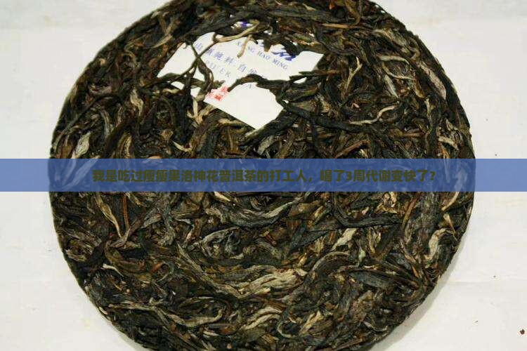 瘦瘦果洛神花普洱茶