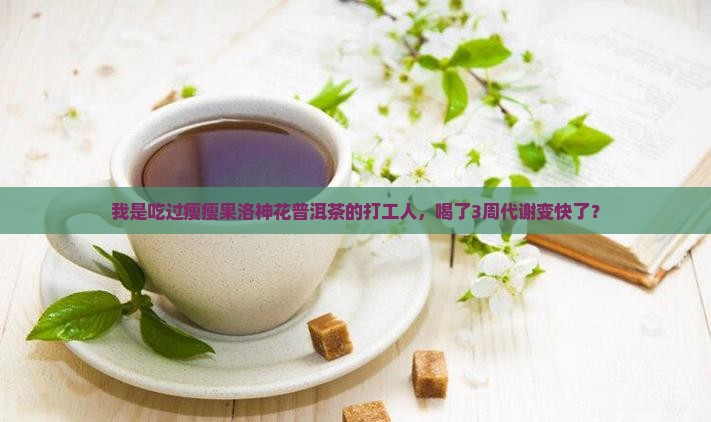 瘦瘦果洛神花普洱茶