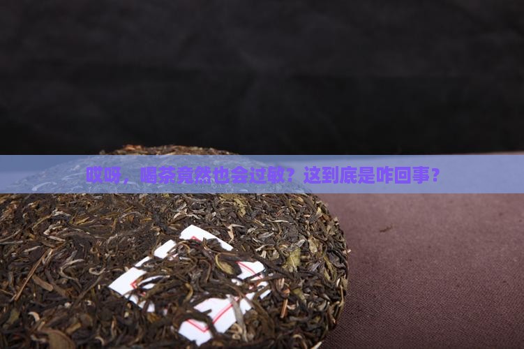 喝茶会过敏是什么原因