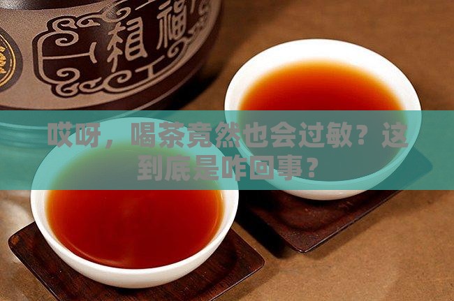 喝茶会过敏是什么原因