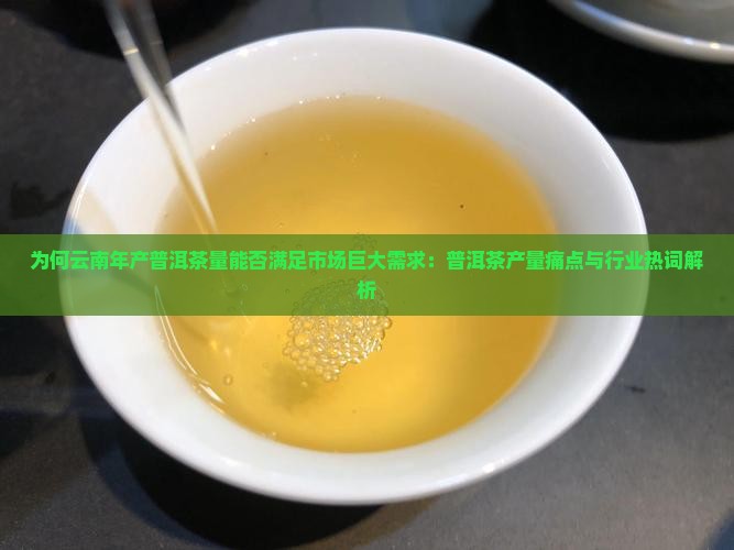 云南每年要产多少普洱茶