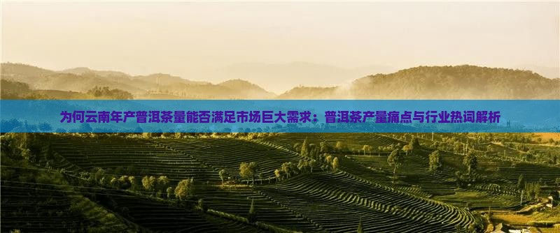 云南每年要产多少普洱茶