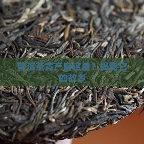 普洱茶的主要产地是云南