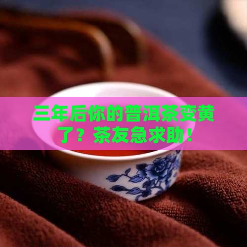 普洱茶3年后变黄了吗