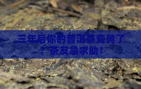 普洱茶3年后变黄了吗