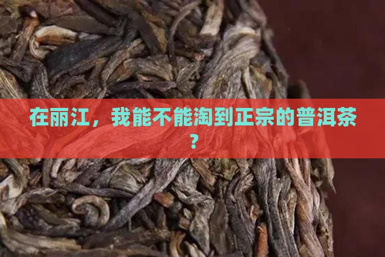 丽江普洱茶能买到真的吗