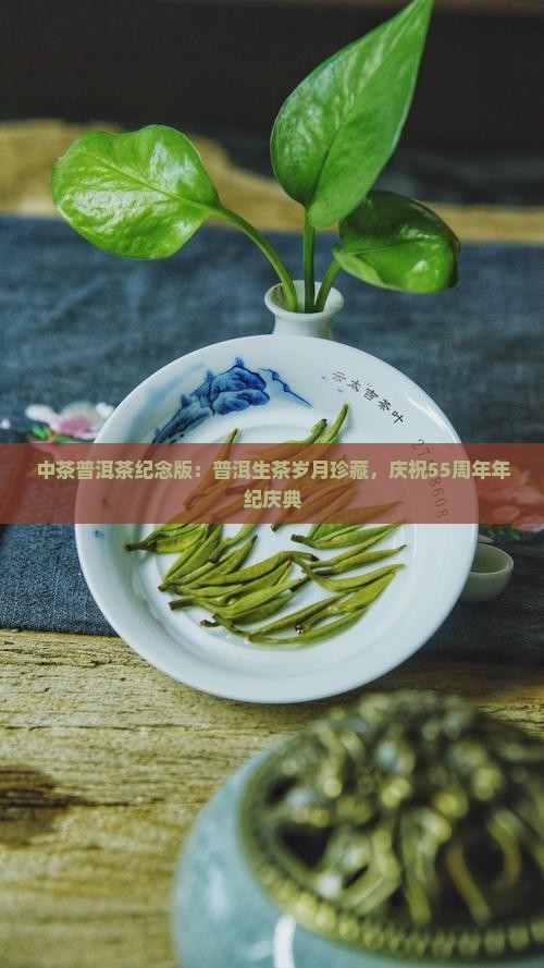 55周年普洱茶生茶