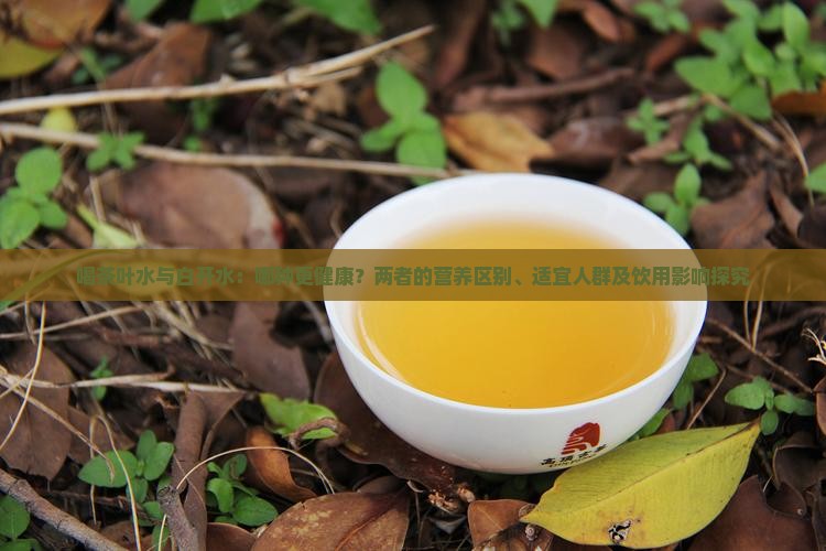 喝茶叶水和喝白开水的区别