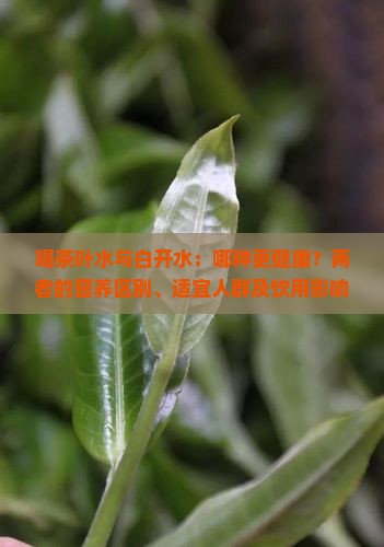 喝茶叶水和喝白开水的区别