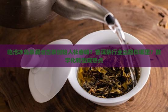 临沧冰岛茶澜沧古茶创始人杜春峰