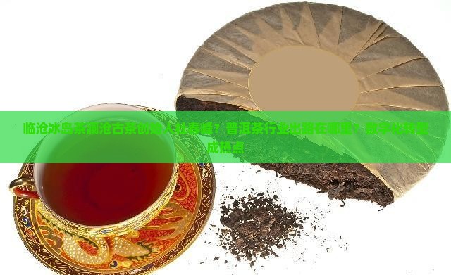 临沧冰岛茶澜沧古茶创始人杜春峰