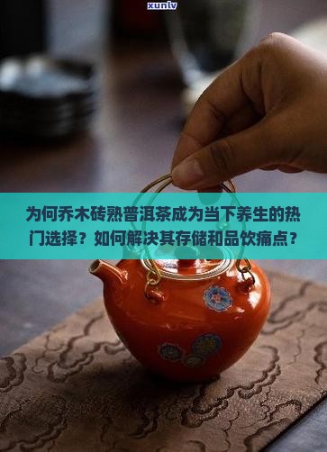乔木砖熟普洱茶