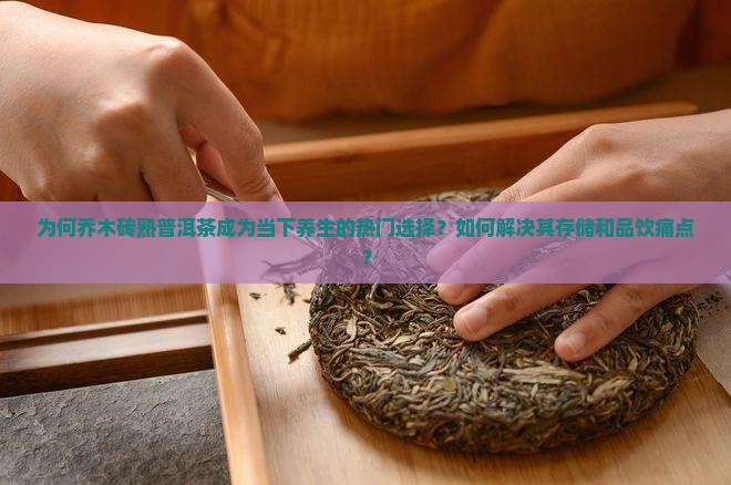 乔木砖熟普洱茶