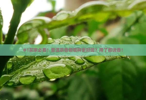 普洱茶香精哪个好闻点