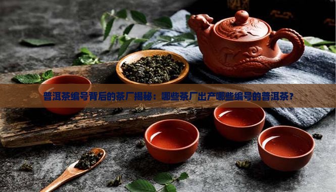 普洱茶编号的茶厂