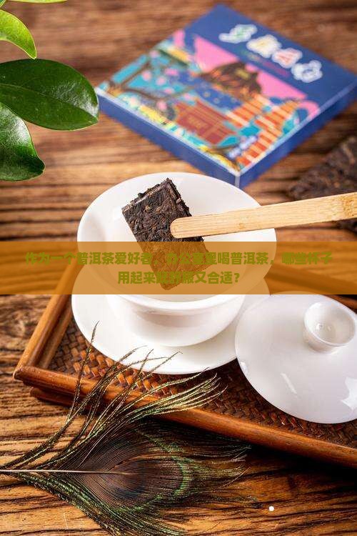 适合饮用普洱茶的茶杯有哪些