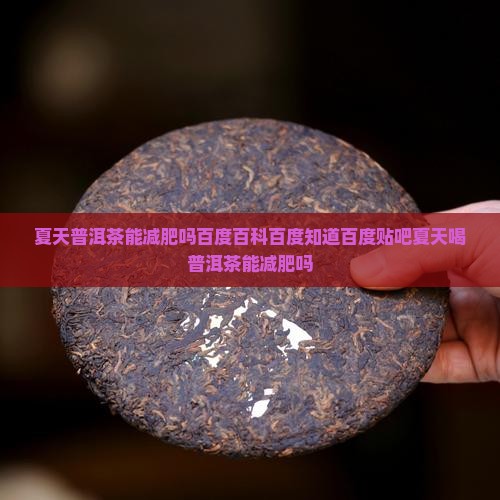 夏天普洱茶能减肥吗百度