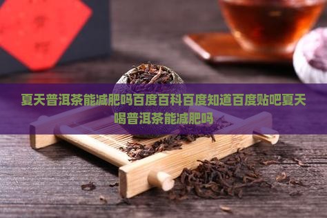 夏天普洱茶能减肥吗百度