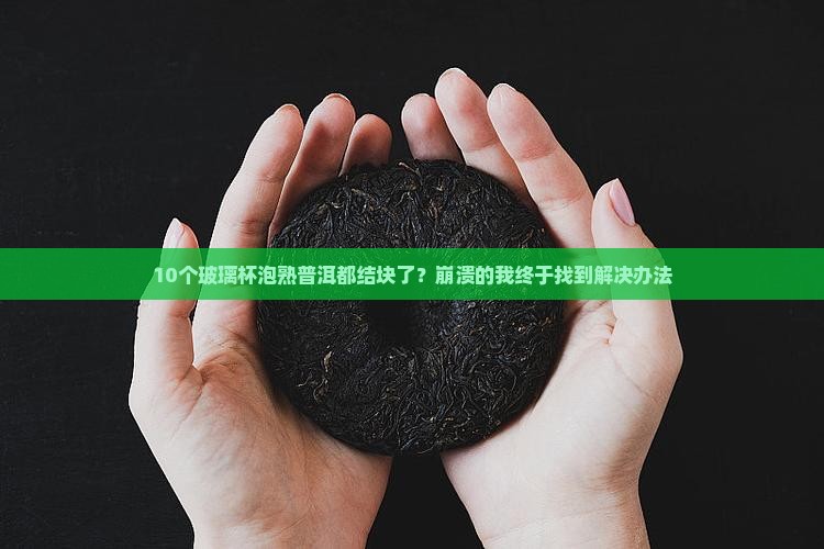 熟普洱茶玻璃杯泡不散