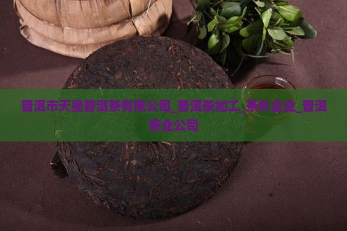 普洱市天星普洱茶有限公司
