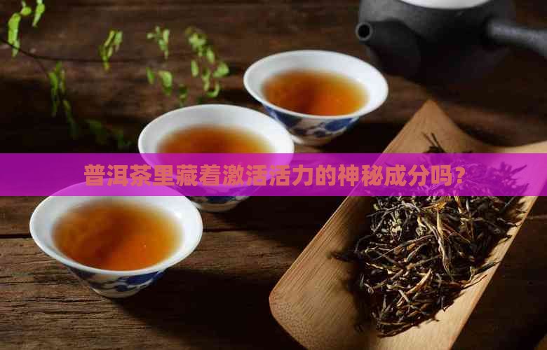 普洱茶有激活剂吗