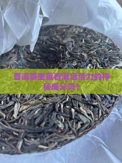 普洱茶有激活剂吗