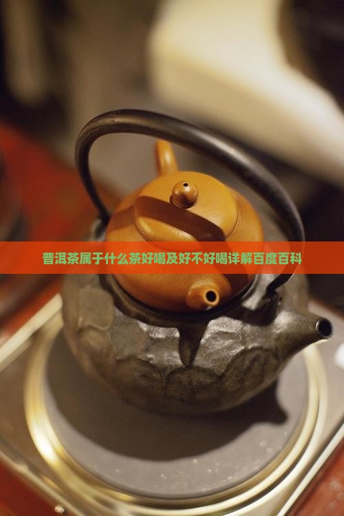 普洱茶属于什么茶好